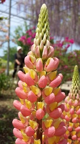 20140503_122252