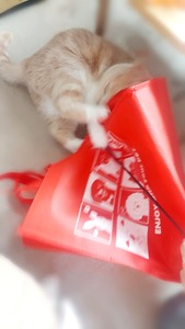 Point Blur_20260102_125327