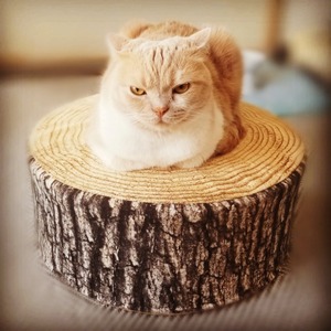 IMG_20200514_111851_362