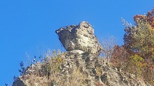 20241220_162830