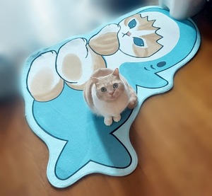 Point Blur_20250120_090414