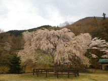 IMGP3435