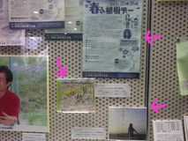 BlogPaint