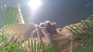 那須 (10)