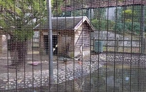 VideoCapture_20260220-085129