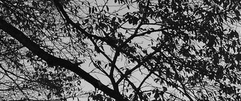 20141024_160205