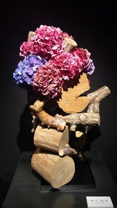 20160607_105019