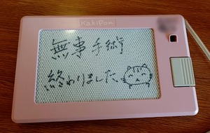 Point Blur_20231028_094741