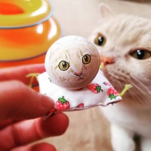 97179318_2924268320998529_154227838279966703_n