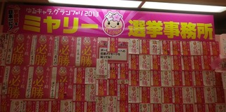 IMGP2979