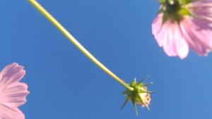 Remini20211029214323764