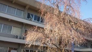 20150328_170508