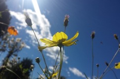 20141014_095157