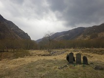 IMGP3422