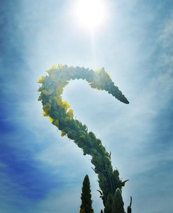 Screenshot_20230620_120036_Gallery