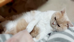 Point Blur_20260221_060721