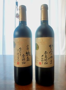 Point Blur_20251130_084630