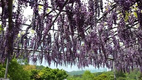 20140503_123329
