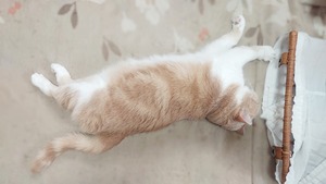 Point Blur_20251109_113134