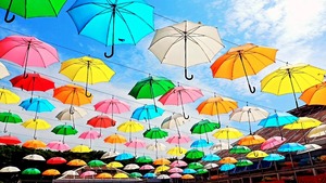 IMG_20240630_080101_522