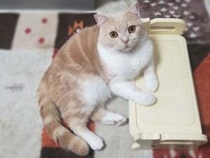 85115045_1081921808810223_561407349514138527_n