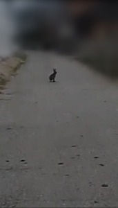 Point Blur_20260616_104310