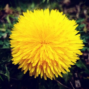 89382052_136953011162748_4775283856531730577_n