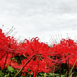 IMG_20220923_205330_289