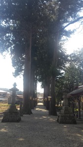 那須 (8)
