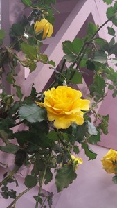 20160514_122409