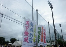 IMGP3798