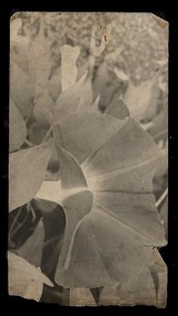 p20150809-073819