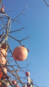 20131117_121601