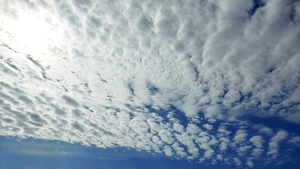 20251008_090631