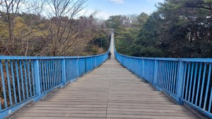 Point Blur_20260130_115620