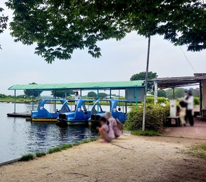 Point Blur_20250812_122904