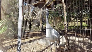 VideoCapture_20260130-115813