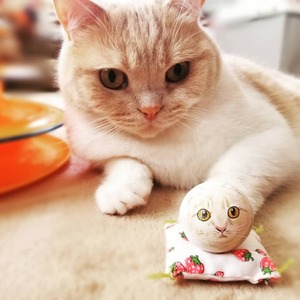 IMG_20200515_072558_345