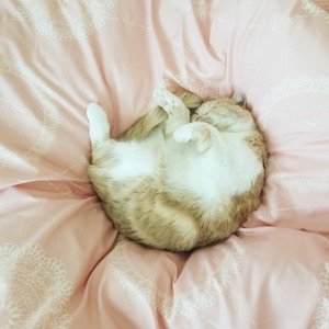 IMG_20200430_124316_871