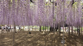 20140503_133625