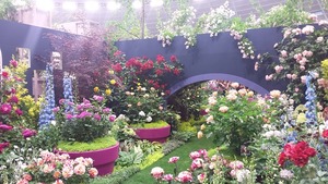 20160514_122220