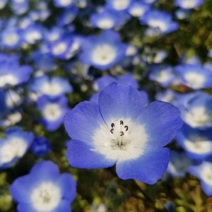 94470962_167113107925166_7647717409024891264_n