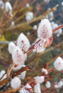 20190220_084856