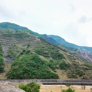 IMG_20220521_205154_485