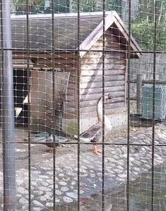 VideoCapture_20260220-085100