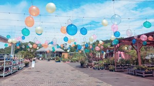 IMG_20240630_080101_704