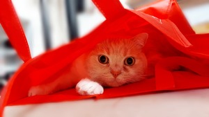 Point Blur_20260102_125816