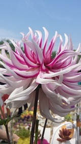 20140503_135009