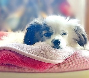 IMG_20221111_193226_700