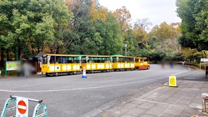 Point Blur_20251125_164342